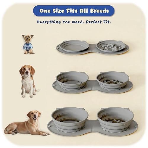 Premium Silicone Collapsible Dog Bowl with Carabiner Clip, 2-in-1 Foldable Double Pet Food & Water Travel Bowl, Portable No-Spill Design for Walking Hiking Camping, for Small Medium Dogs