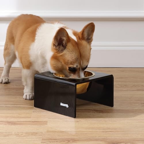 DBL2002B Keaton 5" Small/Medium Modern Acrylic Rectangular Elevated Pet Feeder with 20oz 1-Stainless Steel Bowl, Black/Gold - color: Black/Gold, size: 20 Ounces (5" Cups 1-Pack)