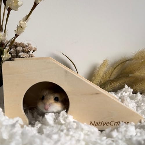 Exotic Nutrition Climber Cave - Fun & Unique Cage Accessory for Dwarf Hamsters, Golden Hamsters, Degus, Gerbils and Other Small Animals