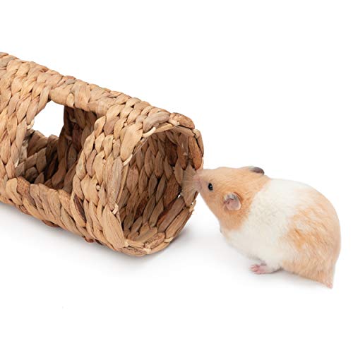 Niteangel Creative & Composable Hamster Tunnel: Edible Water Hyacinth & DIY | Mimic Wild Underground Habitat & Build Unique Burrow as Hideout for Small Sized Animals Like Hamsters Mouse Gerbils Mice - size: SHLD