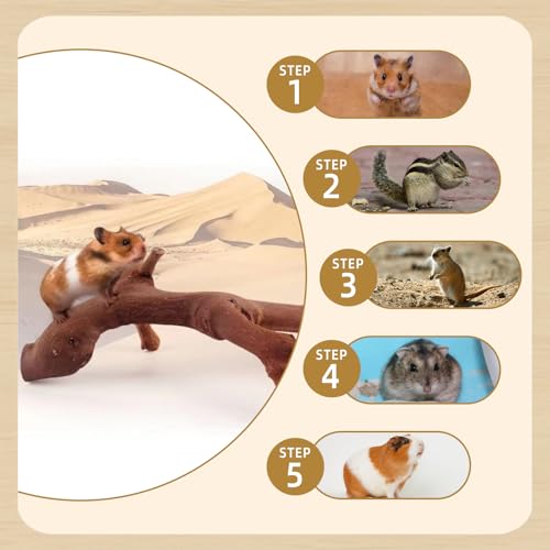 kathson 2PCS Wood Hamster Climbing Branches Decor, Natural Wooden Syrian Hamster Climb Chewing Toys, Rat Exercise Toys, Small Animal Habitat Decor Accessories for Dwarf Pets, Gerbils, Mice (7.8IN) - size: 7.8IN