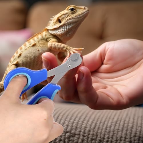 Stainless Steel Bearded Dragon Claw Trimmer, Reptile Clippers for Small Reptiles, Turtle, Chameleon, Hedgehog(Blue)