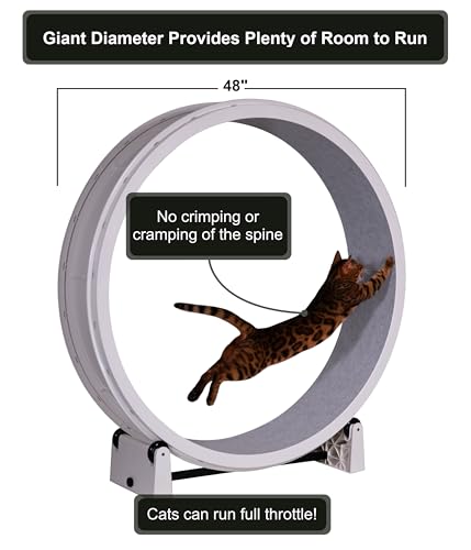 One Fast Cat - Cat Exercise Wheel - Made in the USA - 48" Diameter - Gen. 7 | White with Gray Felt Traction Pads and Solid Black Inline Wheels - color: White Wheel / Gray Felt / Solid Black Inline