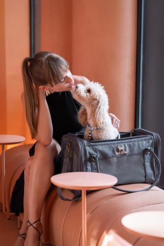 Noah & Paw Cat Carrier Soft Dog Carrier for Small Dogs, TSA Airline Approved 18x11x11in Cat Crate, Pet Travel Crate, Small Pet Kennel, Mattress Included, Charcoal Faux Leather - color: Charcoal (Faux Leather)