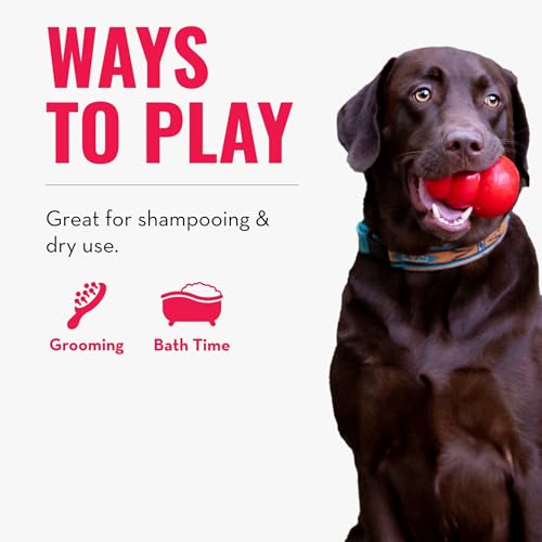 KONG - ZoomGroom - Dog Brush for Grooming and Shampooing - Red Brush for Large Dogs - color: Red