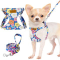 Lukovee Puppy Harness and Leash Set, No Pull, Lightweight Step in Vest | Adjustable, Soft Suede Vest, Easy Put on and off Pet Harness with Snap Buckle & 51in Leash for Small Medium Dogs (Blue, XXS) - color: ·Blue Flower, size: XX-Small ( 2.2-6lb )
