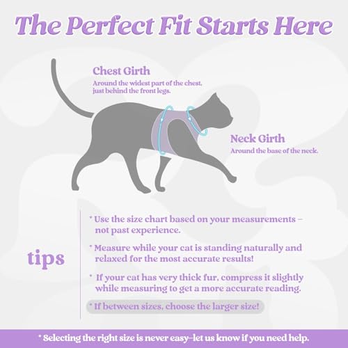 rabbitgoo Cat Harness and Leash Set, Step-in Soft Vest, Black-Light Purple | Escape Proof, Lightweight, Easy-on & Adjustable, Hook & Loop with Buckle, Reflective, for Kittens & Small Cats Walks, M - color: Black-Light Purple, size: M