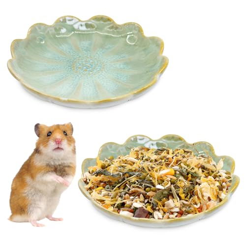 BNOSDM Shallow Ceramic Hamster Food Dish 2 Pcs Small Animals Food Bowl Sunflower Feeding Dishes for Gerbils Mice Rats 4.5in (Green) - color: Green Sunflower