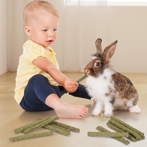 52Pcs Rabbit Chew Sticks, Guinea Pig Toys, Natural Timothy Hay Teeth Stick | Timothy Grass Molar Teeth Stick, Guinea Pig Timothy Hay, Chew Toys for Bunny, Rabbits, Hamsters, Small Animals Treats - size: 52P-Green-Set