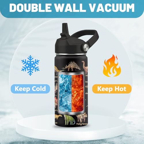 Dinosaur Water Bottle, Dinosaur Gifts, 16 oz Water Bottle with Straw Lid | Stainless Steel Insulated Water Bottle for Travel Outdoor, Dinosaur Cup for Dinosaur Lovers - color: Dinosaur