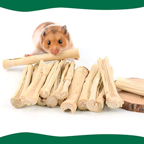 BWOGUE 100g Pet Snacks, Bamboo Chews for Rabbits, Sweet Bamboo Chew Sticks | About10-14 Sticks, 3.94 in Bamboo Sticks for Rabbits, Rabbit Chew Toys, Squirrels, Guinea Pigs, Chinchillas & Hamsters - size: 1 Count (Pack of 1)