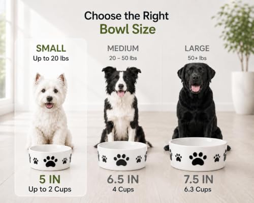 Ceramic Dog Bowls Set, 5''×2'', with Anti-Slip Rings, 2 Cups Capacity - size: 5 in