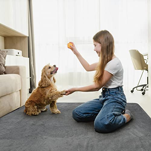 LOOBANI Washable Pee Pads for Dogs, 2 Pack Fast Absorbent Dog Mats,31"x36" | Leak-Proof and Non-Slip Reusable Puppy Pads, Machine Washable, Whelping Pads for Crate, Playpen, Incontinence, Housebreaking - size: 31"*36"(Pack of 2) Gray