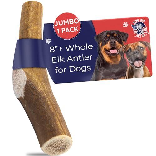 Devil Dog Pet Co Whole Elk Antlers for Dogs, Jumbo, Aggressive Chewers | Naturally shed Grade A Rocky Mountain elk antler, single ingredient, long lasting, 8 in+, fits breeds up to 110 lb - style: WHOLE - Jumbo - 1 Pack
