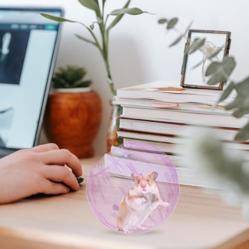 POPETPOP Hamster Running Ball 4 Inch Transparent Exercise Ball for Small Pets Including Hamsters Gerbils and Guinea Pigs Portable Safe Toy for Active Play and Indoor Use - color: Pink