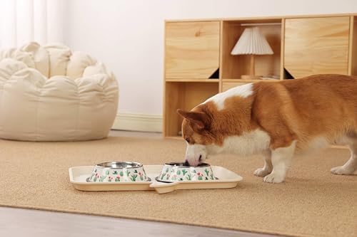 Stainless Steel Dog Bowls, Food and Water Non Slip Anti Skid Stackable Pet Puppy Dishes for Small, Medium and Large Dogs (2 Pack) - color: Cactus, size: ¾ Cup/7 oz