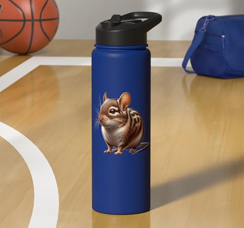 Degu Design Stainless Steel Insulated Water Bottle - color: Royal Blue
