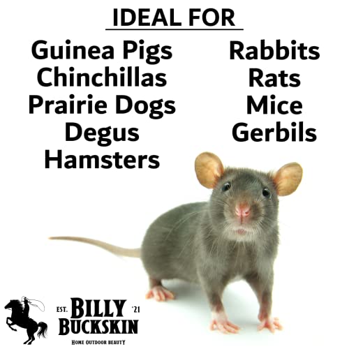 Chinchilla Chew Toys, Pumice Chew Blocks, Lava Block for Hamster, Rat, Mice, Degus, Gerbils, Small Animal Toys, Guinea Pigs, Rabbit Toy, Bunny Toy by Billy Buckskin (Pack of 6)Mined in USA - size: 1 Count (Pack of 6)