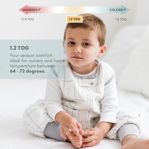 Dreamsuit Walker Toddler Sleep Sack with Feet and Legs, 12M-2T | 70% Rayon Made from Bamboo, 30% Organic Cotton, 0.8 TOG Summer, 2-Way Zipper, Buttery Soft Wearable Blanket, Cactus - color: (1.2 Tog) Alphabet, size: 12-2T