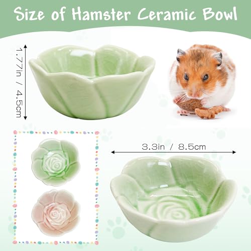 BNOSDM 2 Pcs Hamster Ceramic Food Bowl Flower Series Gerbil Drinking Bowls Anti-Turning Food & Water Dish for Dwarf Syrian Hamsters Gerbil Chinchilla（Green, Rose Pattern） - color: Green