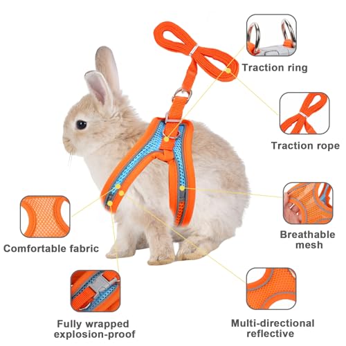 PETKNOWS 2 Pack Rabbit Harness and Leash Set | Double Buckle Bunny Harness with Reflective Strips Soft Breathable Mesh Vest Harness for Rabbits Walks Accessories