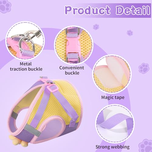 Cat Harness and Leash Set, Escape Proof Soft Vest Walk Purple XS | Adjustable, Easy Wear, Breathable Comfy Mesh, Reflective Strips, Sturdy Clip Buckle Flower Harness for Cats Kitty Puppy Bunny - color: Romantic Purple, size: Extra Small