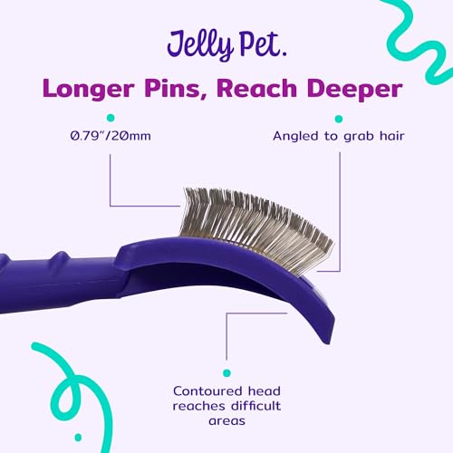 Jelly Pet Universal Slicker Brush for Dogs, Dog Grooming Brush, Remove Tangles/Dead Undercoat, Tuffer Than Tangles, Doodle Huskie Sheep Dog Golden Retriever German Shepherd, Soft Pin, Purple, Large - color: Purple, size: Large (3 in x 4 in) - Pins (Firm)