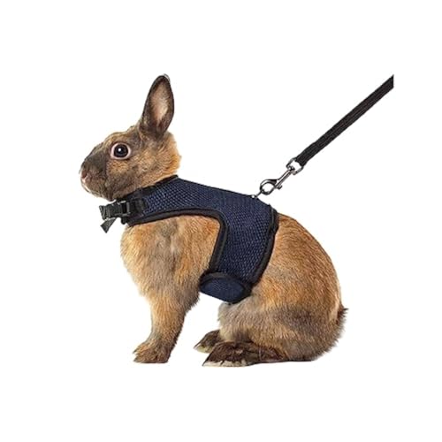 MANON ROSA Rabbit Harness and Leash Set - Adjustable Escape-Proof Training and Walking Gear for Guinea Pigs Bunnies Chinchillas Hamsters Ferrets Rats Kittens and Small Dogs Puppies Cats (Black,L) - color: Black, size: L