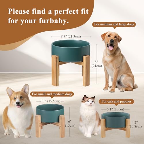 Elevated Ceramic Cat Bowl - Cat Food Bowl with Bamboo Stand - Raised Dog Dish for Puppies - Anti Vomiting, Stress Free - 13.5 oz / 400 ml - Yellow - color: Yellow, size: Small