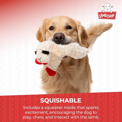 Multipet Lamb Chop Dog Plush Toy - Squeaky Toy for Small & Medium Dogs - Extra Soft Plush - Stuffed Animal for Cuddling & Playing (10", Cream, 5 Squeakers) (Pack of 2) - size: 10" (Pack of 2), style: Lambchop