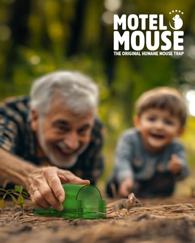 Motel Mouse Humane Mouse Traps No Kill Live Catch and Release 4 Pack - Reusable, Easy to Use & Clean, No Touch Release, Sensitive Includes Cleaning Brush, Instruction Manual & Video - Mousetrap Indoor - color: Regular White 4 Pack