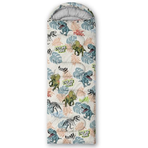 QOOMO Camping Sleeping Bags,3 Season Warm & Cool Weather,Lightweight,Waterproof Sleeping Bags for Adults & Kids,Traveling,and Outdoors,Camping Gear Equipment - color: dinosaur