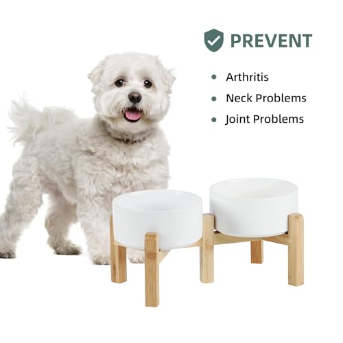 Havniva Dog Bowls Elevated, Ceramic Dog Food and Water Bowl Set | 6.1” Raised Dog Food Bowl, Elevated Dog Bowls with Bamboo Stand, Non-Slip Dog Water Bowl for Small Dog, Large Capacity - color: Matte White, size: 6.1" - 2 Bowls+Stand