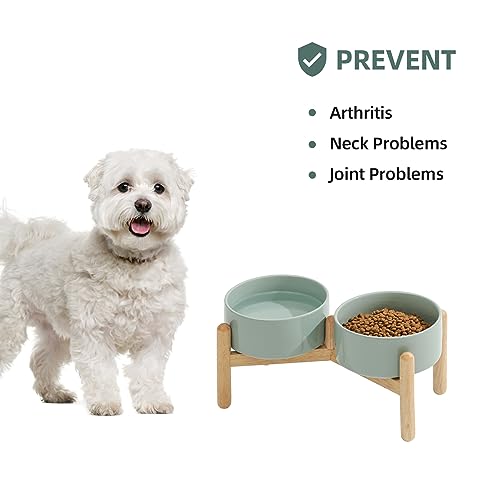 Havniva Elevated Dog Bowls Ceramic Dog Bowls with Stand, Dog Food Bowl | 6.1” Raised Dog Bowls with Non-Slip Wood Stand, Dog Food and Water Bowl Set, Double Dog Feeding Bowls for Small & Medium Dogs - color: 2 Bowls+Stand - Light Green, size: 6.1inch