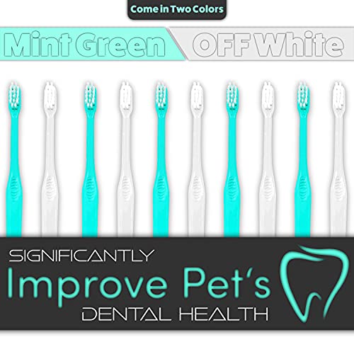 H&H Pets Toothbrush for Small Dogs & Cats - Soft and Extra Small Toothbrush Designed for Cats, Puppies, and XS Breed Dogs Like Teacups, Chihuahuas, Yorkshire, and Poodle, 8 Count Pack - size: 8 Count (Pack of 1)
