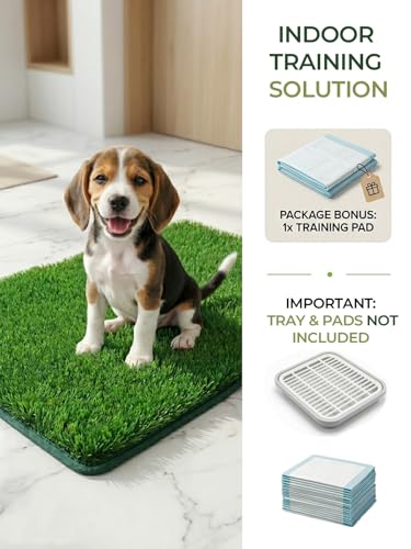 1.2'' Thick Woven Fake Grass Mat for Dog, Glue-Free Artificial Turf Potty Training Pad with Fast Drainage, Machine Washable Pet Pee Pad, Indoor Outdoor Non-Toxic Rug (Small) - size: 20'' x 25'' (Small)