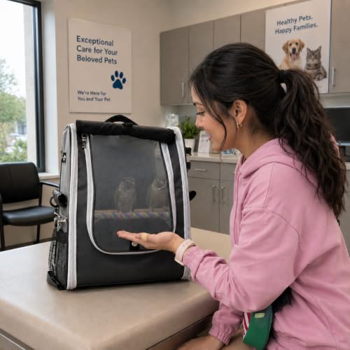 Birds Day Bird Carrier Backpack - Breathable Mesh Portable Parrot Travel Cage with 2PCS Perch, Food Bowl, and Stainless Steel Tray (Charcoal Gray) - color: Charcoal Gray