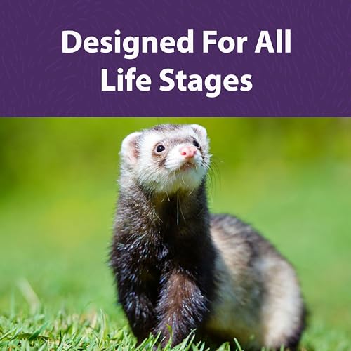 Mazuri | Nutritionally Complete Food for Ferrets| 5 Pound (5 lb.) Bag - size: 5 Pound (Pack of 1)