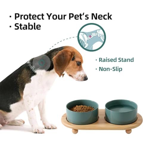Havniva Raised Cat Bowl, 6.1” Elevated Ceramic Cat Food and Water Bowl Set | Cat Bowls Elevated, Whisker Friendly Cat Bowl, Non-Slip Wood Stand, Food-Grade Ceramic, Wide Opening, Dishwasher Safe - color: Dark Green, size: 6.1inch - 2 Bowls+Stand