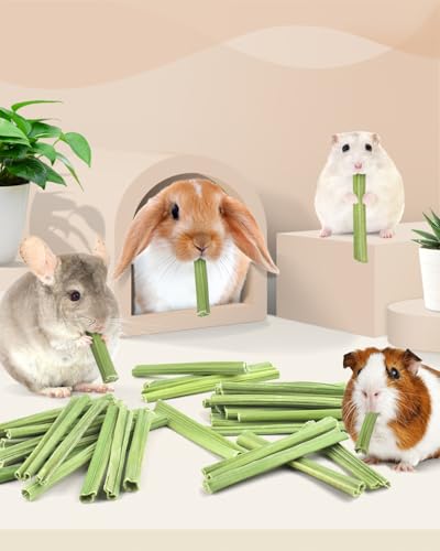 Bissap 50PCS Rabbit Chew Sticks, Natural Papaya Stems Bunny Chews Treats for Rabbits Hamsters Chinchillas Guinea Pigs Small Animals Organic Molar Chewing Snack - size: 50 PCS