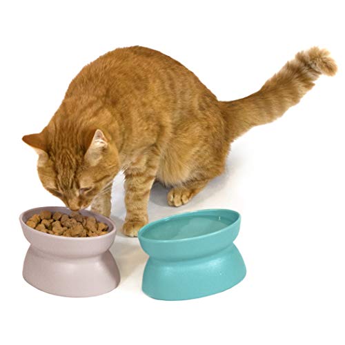 Kitty City Elevated Cat Bowls (Set of 2), Whisker-Friendly Raised Cat Food & Water Dishes, Modern Pedestal Design, Dishwasher Safe, 6.5 oz Each – Teal & Light Pink - color: Pastel, style: Small - Standard