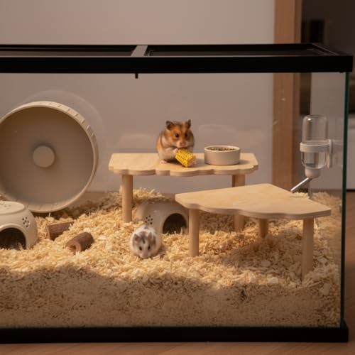 Hamster Platform 2 Pack - Wooden Cage Accessories for Dwarf Syrian Hamsters, Gerbils, Mice, Degus - Extra Large Wood Play Stand, Easy Install