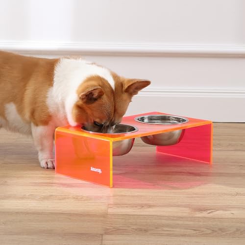 DBL2000E Keaton 5" Small/Medium Modern Acrylic Rectangular Elevated Pet Feeder with 20oz 2-Stainless Steel Bowls, Pink/Chrome - color: Pink/Chrome, size: 20 Ounces (5" Cups 2-Pack)