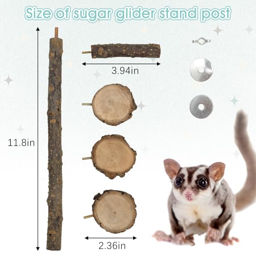 BNOSDM Sugar Glider Toy Natural Fruitwood Round Perch Stand Squirrel Hanging Wooden Climbing Pole Hamster Paw Grinding Perch Small Animal Cage Accessories for Chinchillas Rats Gerbil - color: Applewood - Climbing Platform