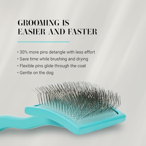 Chris Christensen Big G Dog Slicker Brush for Dogs (Goldendoodles, Labradoodles, Poodles), Groom Like a Professional, Fluff Detangle Style, Saves Time Energy, Teal, Large - color: Teal, size: Large