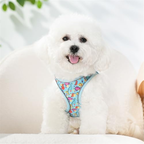 Step in Dog Harness No Pull Dinosaur Adjustable Soft Mesh Harness | Reflective Pet Vest Harness and Leash Set for Small Medium Dogs - color: Blue, size: S(neck:10.5"-12",chest:13.5"-16")