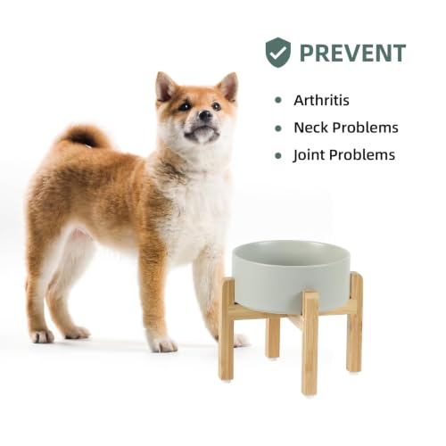 Havniva Dog Bowls Elevated, Ceramic Dog Food and Water Bowl | 7.3” Raised Dog Food Bowl, Elevated Dog Bowls with Bamboo Stand, Non-Slip Dog Water Bowl for Medium Dog, Large Capacity - color: Matte Gray, size: 7.3" - Bowl+Stand