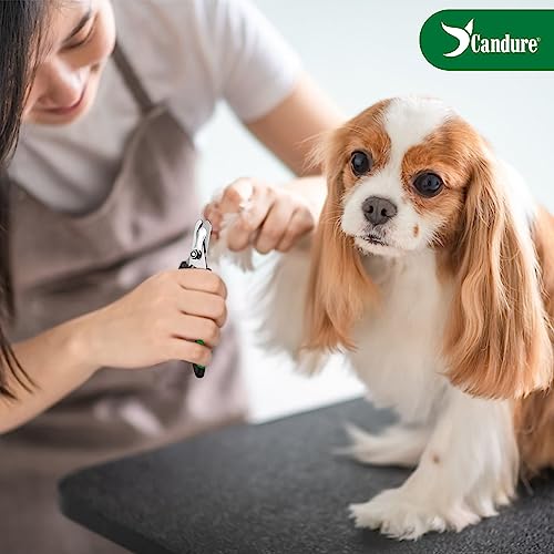 Candure Dog Nail Clippers Professional Pet Nail Clipper Suitable for Cats, Rabbits and Guinea Pigs - Safety Lock/Protective Guard to Avoid Over Cutting (Green, Medium to Small) - color: Green, size: Medium to Small Pets