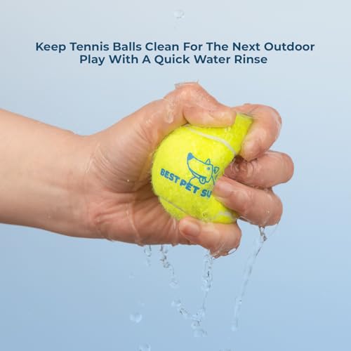 Best Pet Supplies Interactive Squeaky Dog Chew Toy, Ideal Dog Toys for Chewers, Small, Medium & Large Dogs, and Fetch Lovers - Tennis (Yellow), Large (Pack of 4) - color: Tennis (Yellow), size: Large