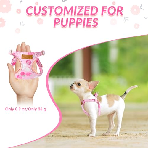 Lukovee Puppy Harness and Leash Set, No Pull, Lightweight Step in Vest | Adjustable, Soft Suede Vest, Easy Put on and off Pet Harness with Snap Buckle & 51in Leash for Small Medium Dogs (Pink-S,XXS) - color: Strawberry, size: XX-Small ( 2.2-6lb )
